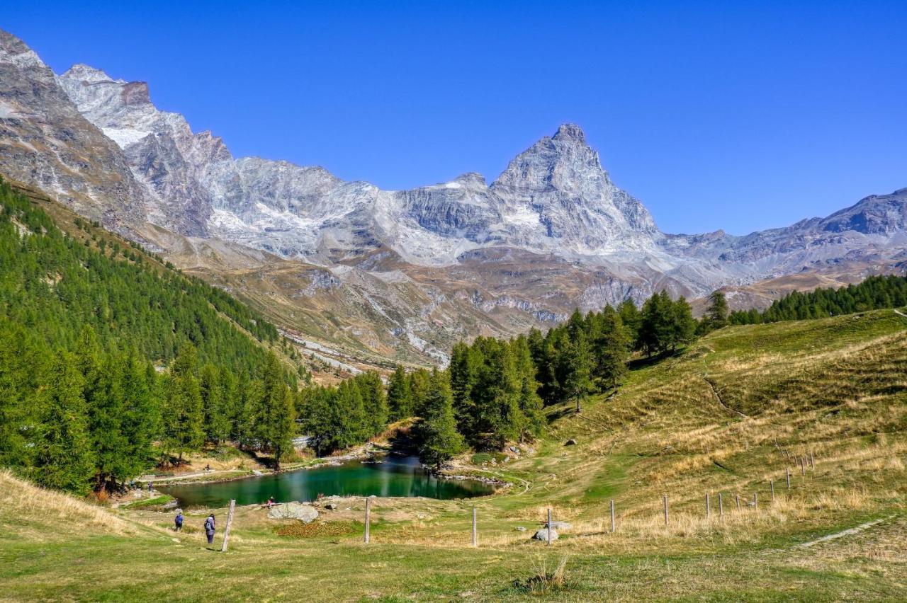 La Lupa Apartment - In The Heart Of Aosta With Car Box エクステリア 写真